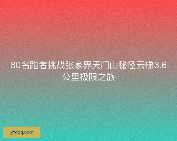 80名跑者挑战张家界天门山秘径云梯3.6公里极限之旅
